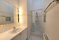 REPRÄSENTATIVE DACHTERRASSENWOHNUNG AM DONAUKANAL