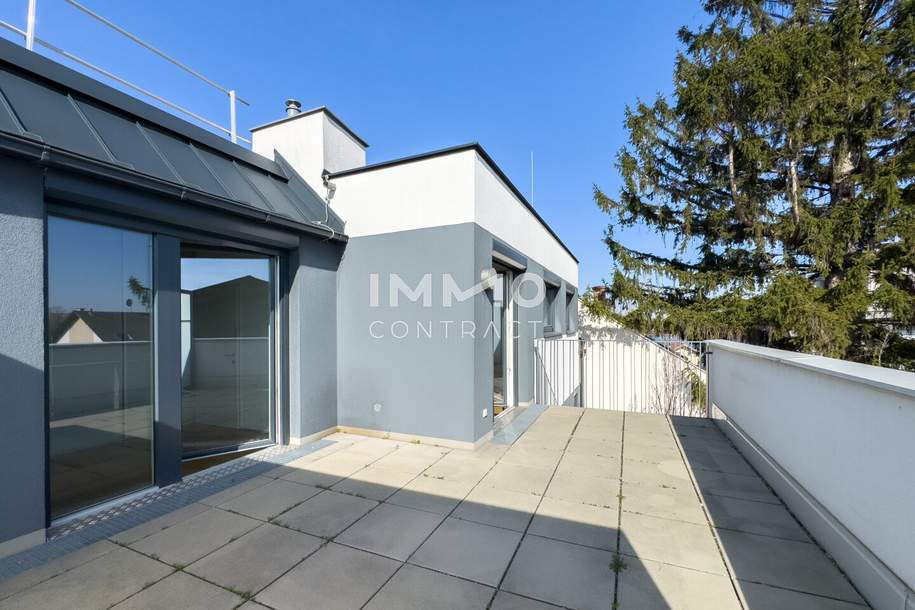 3 Terrassen mit Panormablick bei der Alten Donau, Wohnung-kauf, 539.000,€, 1220 Wien 22., Donaustadt