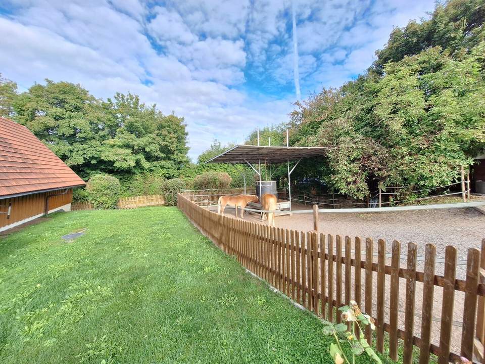 Außergewöhnliche Haushälfte vor den Toren Wiens mit enormem Potential