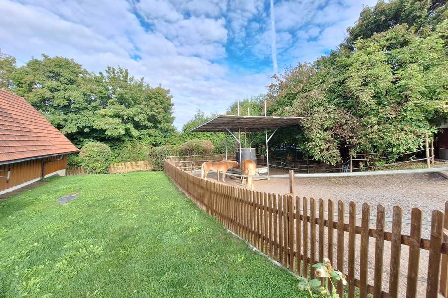 Außergewöhnliche Haushälfte vor den Toren Wiens mit enormem Potential, Haus-kauf, 759.000,€, 2392 Mödling