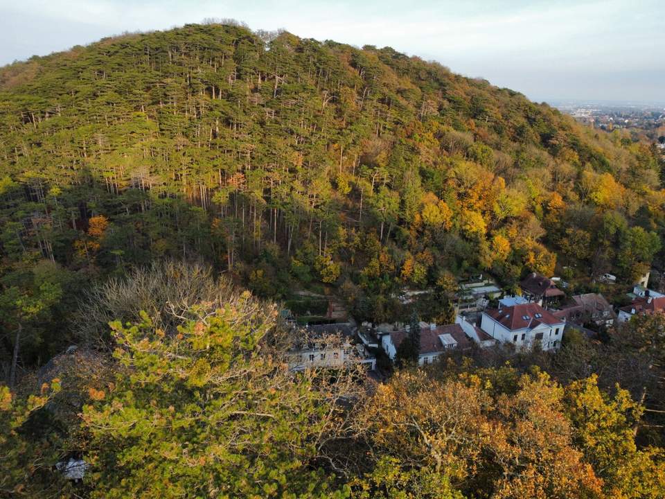 Unglaubliches Erholungsrefugium I Einzigartiges Jagdhäuschen auf Eigengrund nächst Lainzer Tiergarten!