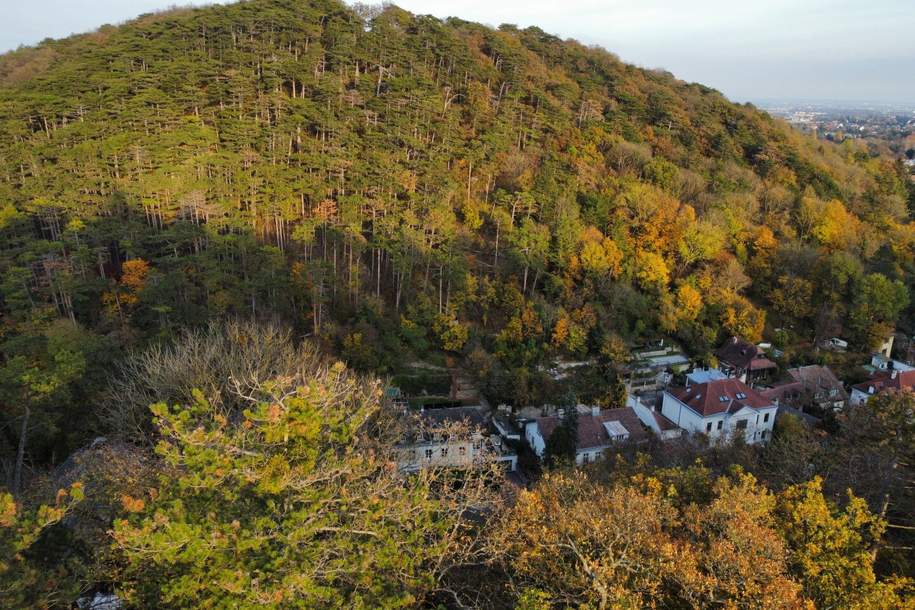 Unglaubliches Erholungsrefugium I Einzigartiges Jagdhäuschen auf Eigengrund nächst Lainzer Tiergarten!, Haus-kauf, 248.000,€, 1230 Wien 23., Liesing