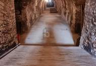 HISTORISCHER WEINKELLER IN TOP LAGE