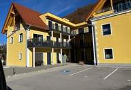 Zinshaus mit 14 Wohnungen und Erweiterungsfläche- Liebevoll renoviertes ehemaliges Herrenhaus einer Sensenschmiede