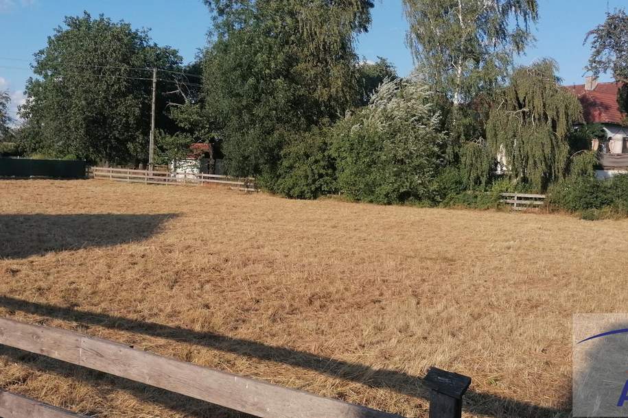 Buchkirchen / Wels: Eine Bauparzelle ist noch zu haben!, Grund und Boden-kauf, 350,€, 4611 Wels-Land