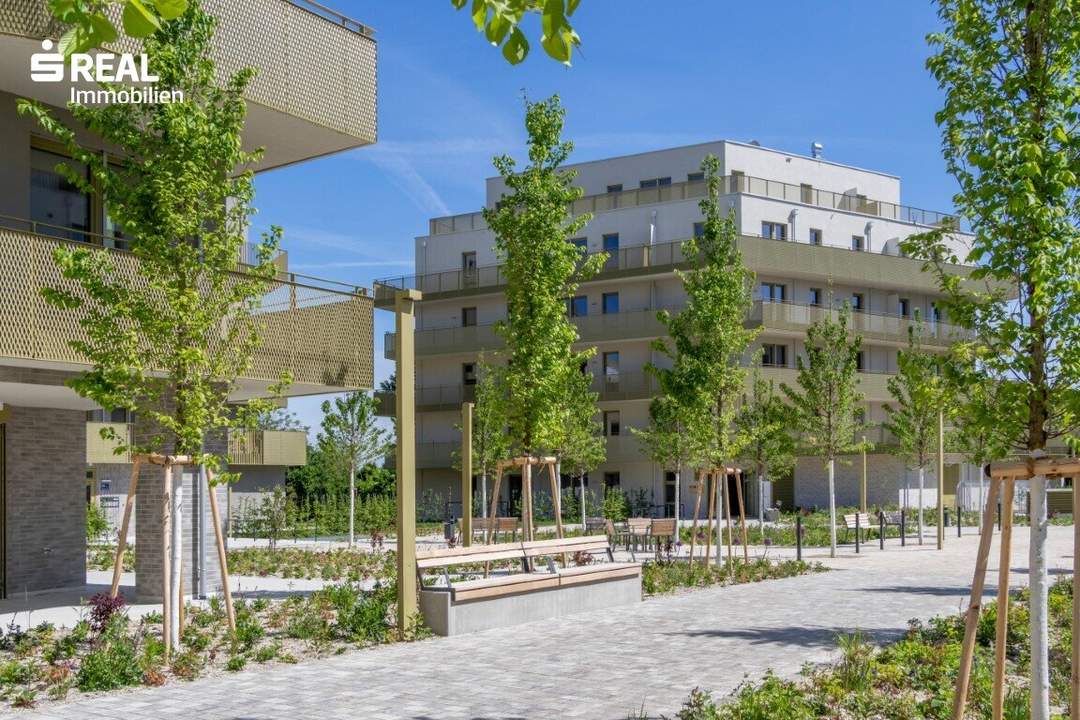 Hirschfeld - Ihr neues Zuhause im Grünen - anfragen, besichtigen, einziehen - 41 bis 96 m²