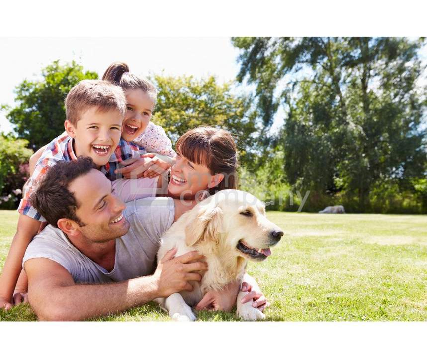 Sonniges Baugrundstück in Toplage – Ruhe, Infrastruktur &amp; Graz-Nähe perfekt vereint
