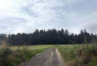 Ca. 9 ha Waldfläche zwischen Gurten und Eitzing - überwiegend Nadelholz