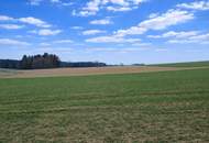 Liegenschaft mit ca. 20 ha landwirtschaftliche Nutzflächen