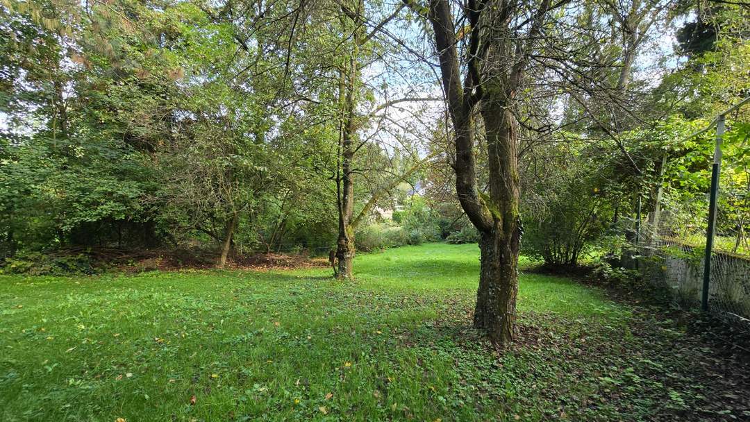 Idylisches Baugrundstück - Verborgen im Zaubertal