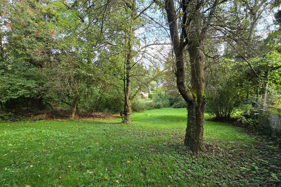 Idylisches Baugrundstück - Verborgen im Zaubertal, Grund und Boden-kauf, 550.000,€, 4060 Linz-Land