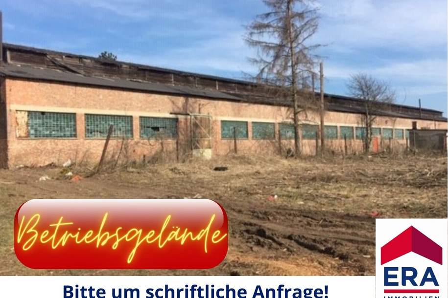 Dobermannsdorf MIETE - Vielseitiges Betriebsgelände mit 3 Hallen, Grund und Boden-miete, 2181 Gänserndorf