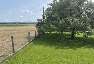 Baugrund in Siedlungsrandlage