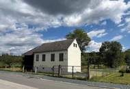 Einfamilienhaus mit Nebengebäude, schönem Garten und angrenzendem Grundstück mit Altbestandshaus!