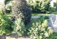 Großes Grundstück für 2 Doppelhäuser oder mehr: Ihre Chance auf ca. 3500 m² ein Projekt zu verwirklichen!