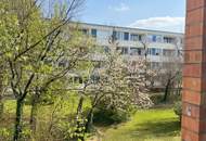 Vollrenovierte Dreizimmer-Wohnung mit großem Kellerraum