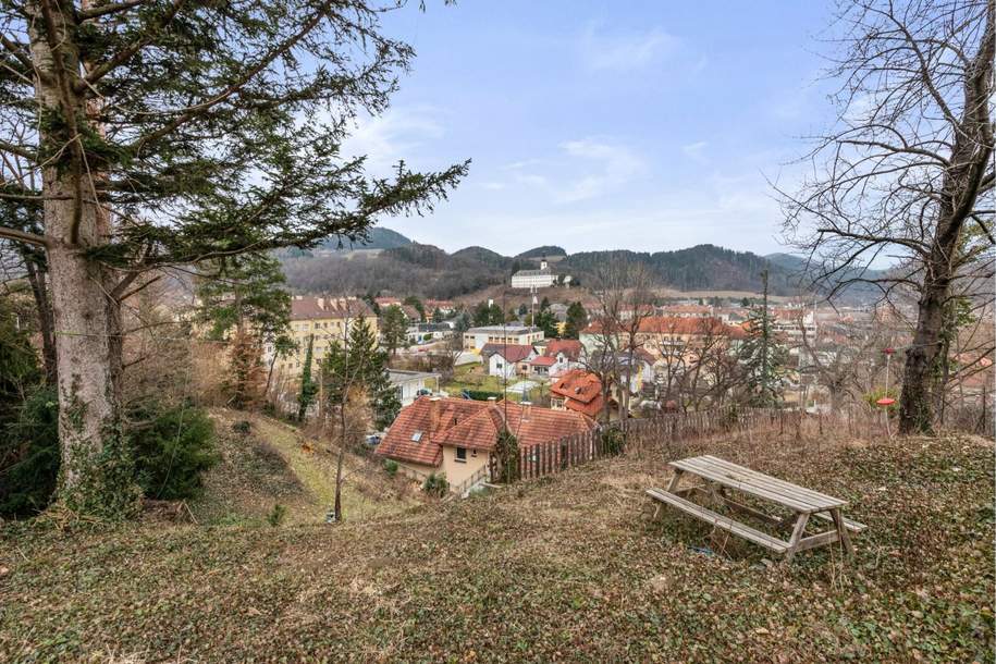 Wohnhaus mit drei Wohneinheiten!, Haus-kauf, 499.000,€, 2640 Neunkirchen