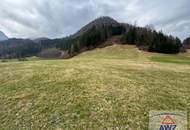 Kleine Landwirtschaft mit schönem Wohnhaus!