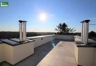 Charmante 3-Zimmer-Dachgeschosswohnung mit großzügiger privater Dachterrasse in der Larischgasse 2