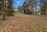 Wo die Seele ihr Zuhause findet: Ein Kunstwerk zwischen Wald und Wien