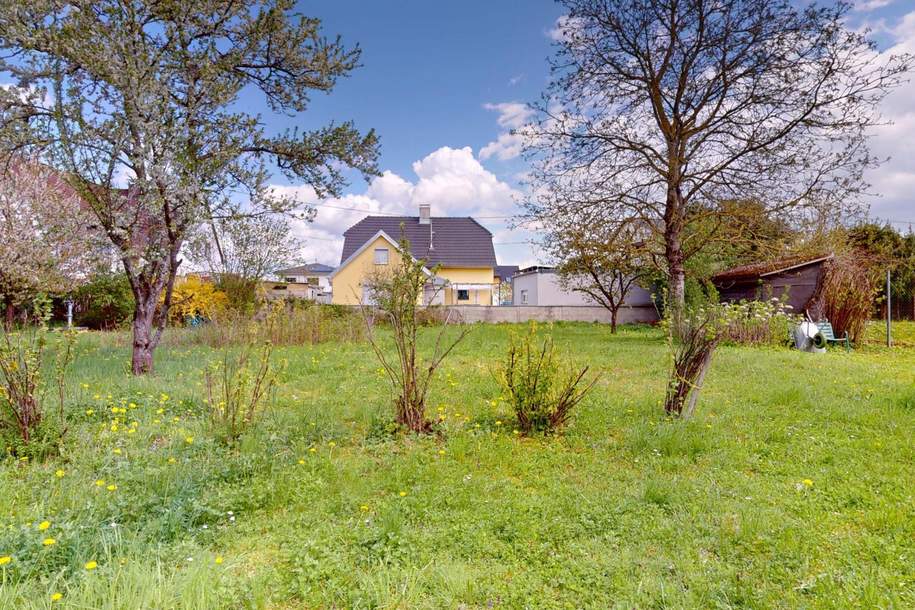 Ruhiges Baugrundstück am Ende einer Sackgasse - OHNE BAUZWANG, Grund und Boden-kauf, 266.000,€, 4614 Wels-Land
