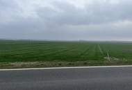 Kleinerer Acker in Kopfstetten!