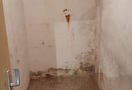 2014 Puch - Bauernhof für Wohnen und Gewerbe - 30 min von Wien !