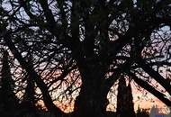 Doppelhaushälfte mit Garten in Wördern zu verkaufen!