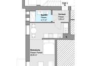 Charmante, sanierte 1-Zimmer-Wohnung in begehrter Lage des 19. Bezirks (Nähe BOKU)