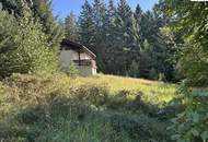 Ruhig gelegenes Einfamilienhaus in Mönichkirchen mit großem Grundstück