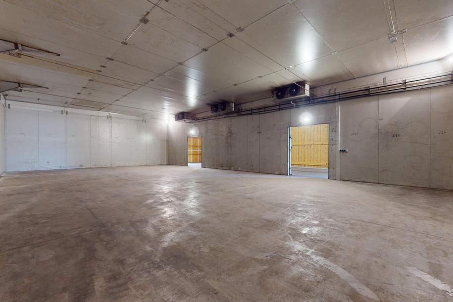 Frostfreie Lagerhalle mit Laderampe, Gewerbeobjekt-miete, 2.128,80,€, 4611 Wels-Land