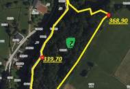 Waldgrundstück Teil 7