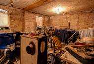 Sanierungsbedürftiges 3-Zi-Einfamilienhaus mit Garten &amp; Garage (Abstellraum)