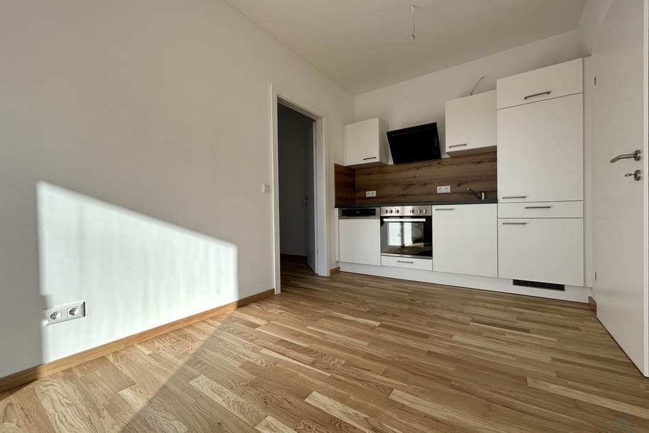 Befristet vermietete - 2-Zimmerwohnung mit Balkon! Anlegerwohnungshit in Straßgang! Provisionsfrei!, Wohnung-kauf, 210.930,€, 8054 Graz(Stadt)