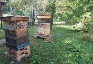 Traumgrundstück in Wien Hietzing mit einzigartigem Ausblick!