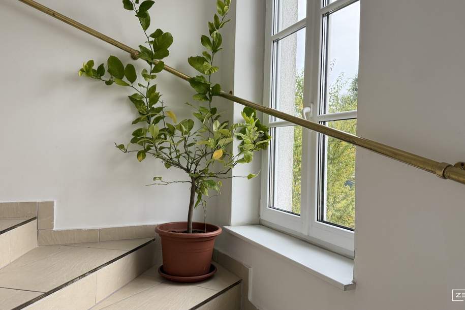 „Raum für Leben. Raum für Generationen. Raum für Beständigkeit.“ | ZELLMANN IMMOBILIEN, Haus-kauf, 2.200.000,€, 1130 Wien 13., Hietzing