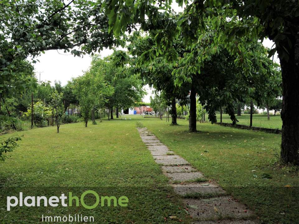 Ist es auch Ihr Traum, eigenes Obst und Gemüse zu ernten?