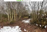 7050 m² gewidmete Baugrundstücke in Spattendorf – nahe Gallneukirchen