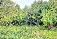 TRAUMHAUS in den Golser Weinbergen möglich!