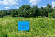 Traumhaftes Grundstück in Bestlage ohne Bauzwang (Provisionsfrei)