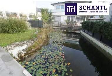 TOP Anlageobjekt in Feldkirchen bei Graz! Modernes Wohn- und Ordinationshaus mit Zahnarztpraxis im Erdgeschoss und großzügiger Mietwohnung im Obergeschoss!