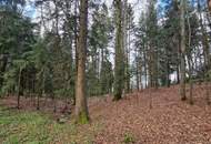 Bauernhof, Landwirtschaft, Alleinlage, Aussichtslage