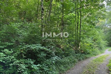 Ihr Traumgrundstück im Grünen! Gestalten Sie Ihr neues Zuhause zum absoluten Spitzenpreis!, Grund und Boden-kauf, 530.000,€, 3021 Sankt Pölten(Land)