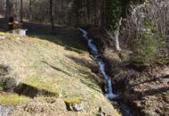 Ca. 16 ha Vielseitige Land- und Forstwirtschaftsflächen im Sackgraben – Gnadenberg