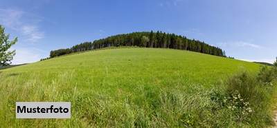 Land- und forstwirtschaftliche Grundstücke