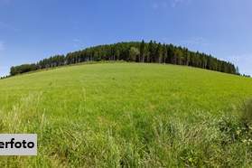 Land- und forstwirtschaftliche Grundstücke, Grund und Boden-kauf, 148.112,€, 7423 Oberwart