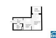 Wunderschöne 1 Zimmerwohnung mit Loggia