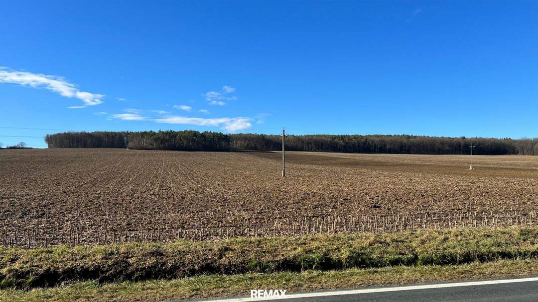 GROSSE landwirtschaftliche Flächen (ca. 27 ha!) und ein Waldgrundstück! Auch Teilkauf möglich! BEZIRK OBERWART!