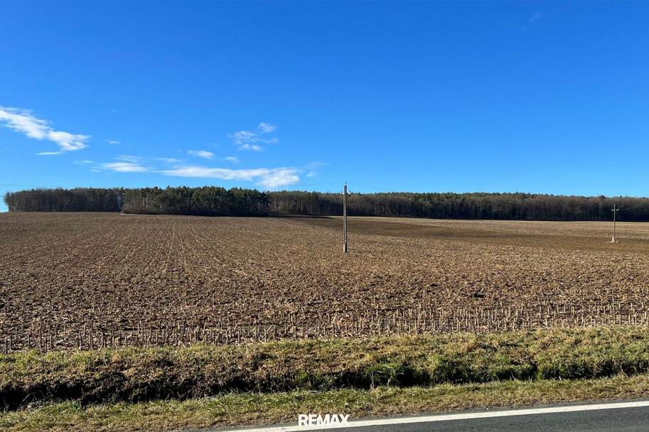 GROSSE landwirtschaftliche Flächen (ca. 27 ha!) und ein Waldgrundstück! Auch Teilkauf möglich! BEZIRK OBERWART!, Gewerbeobjekt-kauf, 7400 Oberwart