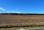 GROSSE landwirtschaftliche Flächen (ca. 27 ha!) und ein Waldgrundstück! Auch Teilkauf möglich! BEZIRK OBERWART!